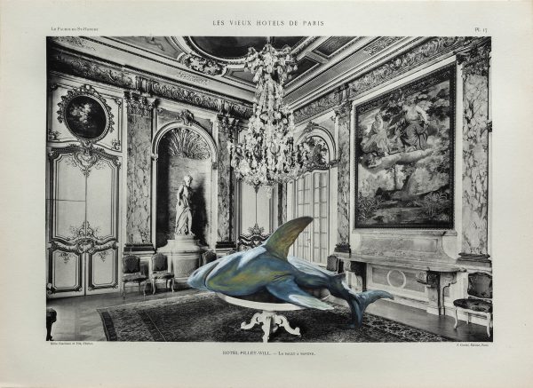 Ars Memoriae ( Shark ) - 32 x 44 cm - gouache on vintage found document -2020 
